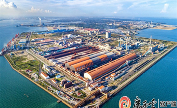 广西冶金行业首倡 国企民企党建互联 “冶金红链”产业联盟助推发展