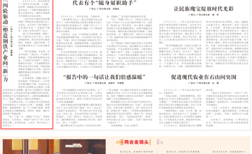 李斌委员：“四轮驱动”塑造钢铁产业向“新”力