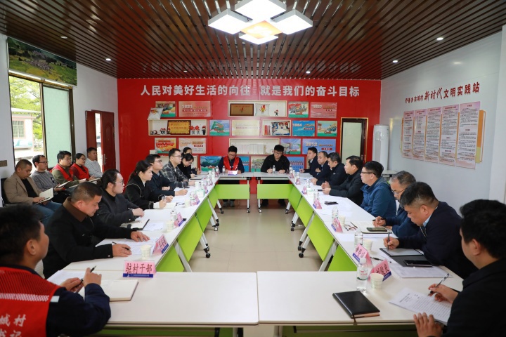 以正确政绩观引领乡村振兴路！李斌带队深入罗城帮扶点调研慰问